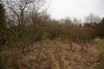 sm. �st Kralovice