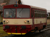 Tra� 162: Kralovice 15.3.
